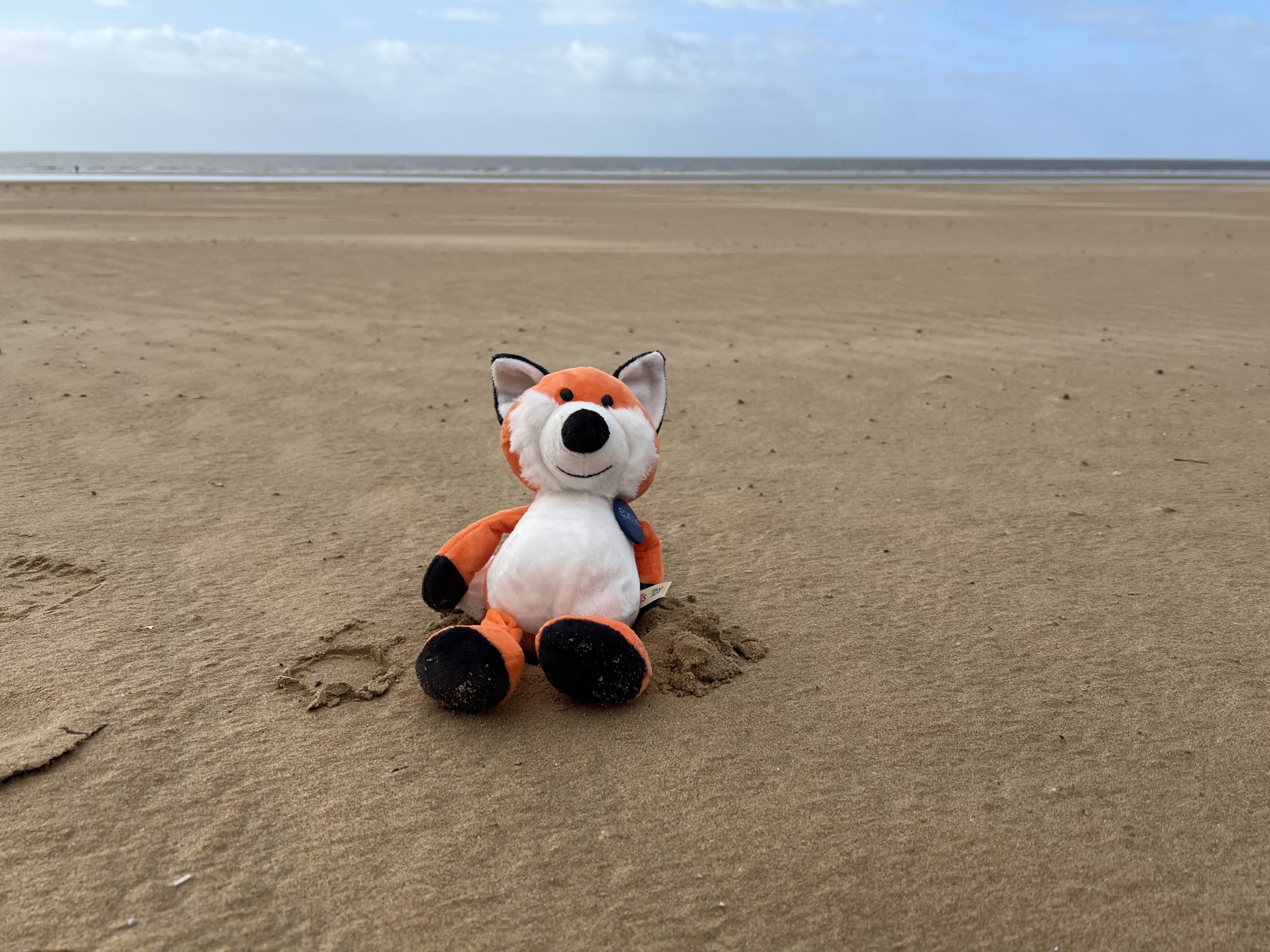 Notre mascotte Edifox profite de la plage en cette journée de team building