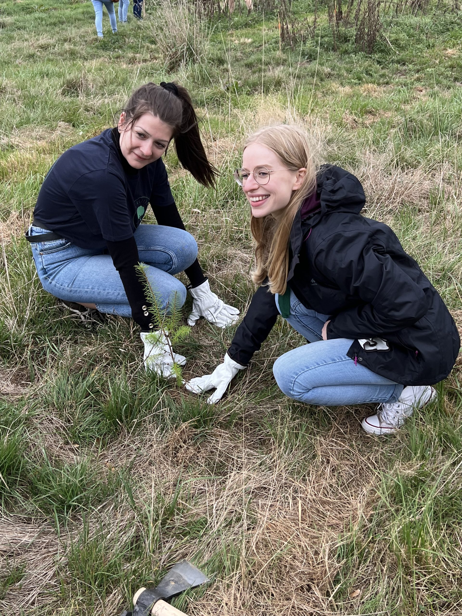 Alexandra et Florine tassent la terre autour de l'arbre