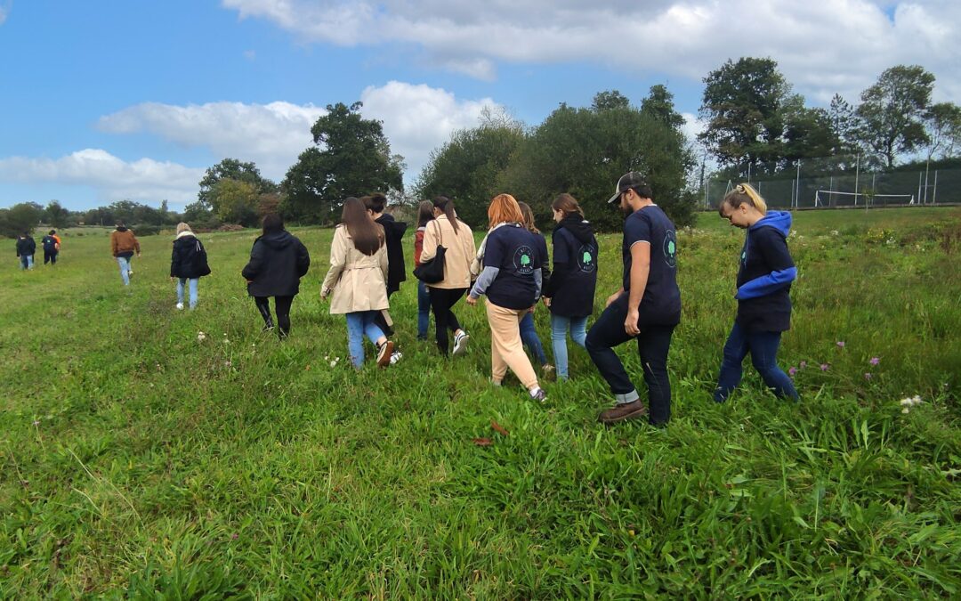 Notre marque 1Action1Arbre : l’agence de communication RSE qui plante des arbres