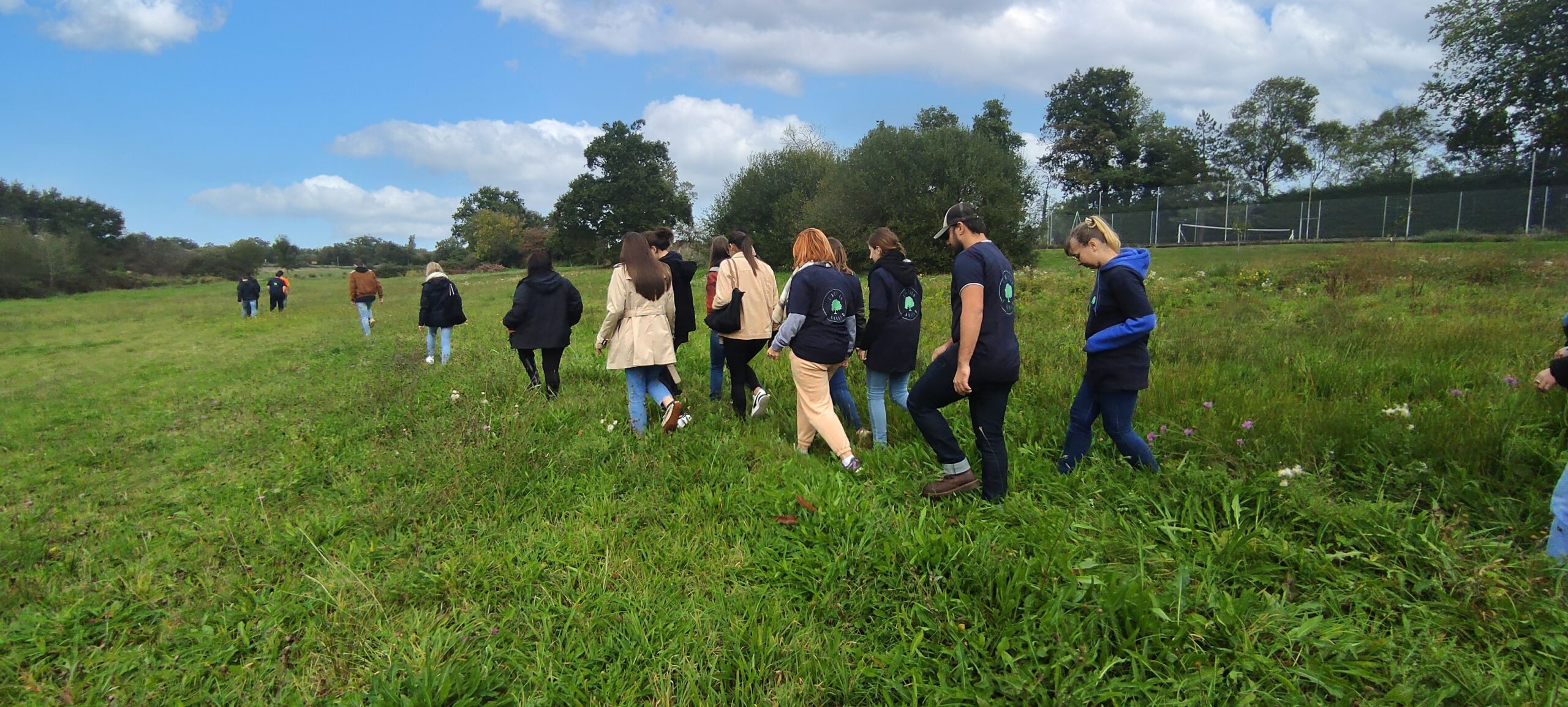 Notre marque 1Action1Arbre : l’agence de communication RSE qui plante des arbres